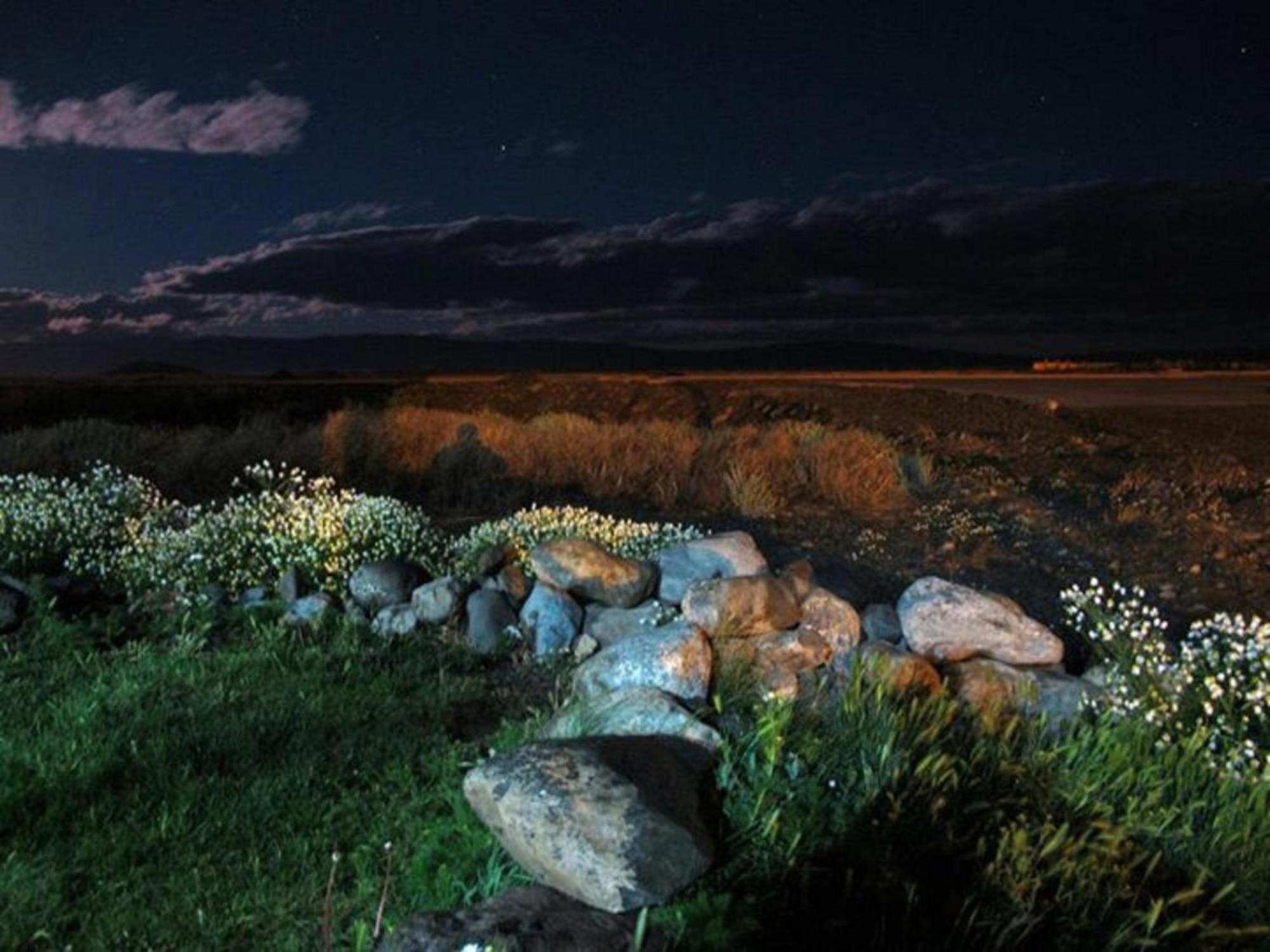 Hostel Aves Del Lago El Calafate Exterior photo